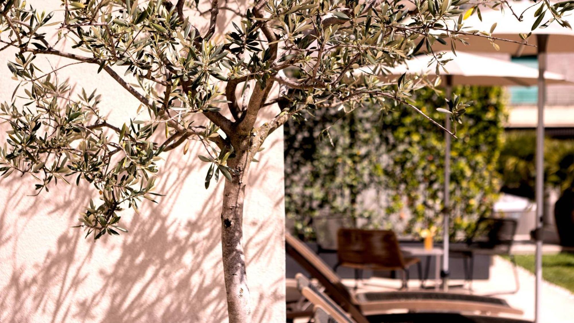 City Hotel Merano Bagian luar foto